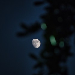 Moon