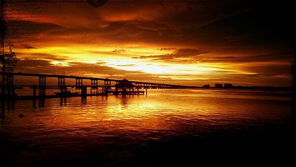 1072522 10151720191686764 36310629 o 101517201916 Print