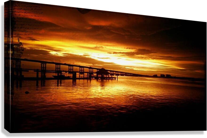 1072522 10151720191686764 36310629 o 101517201916 Canvas Print