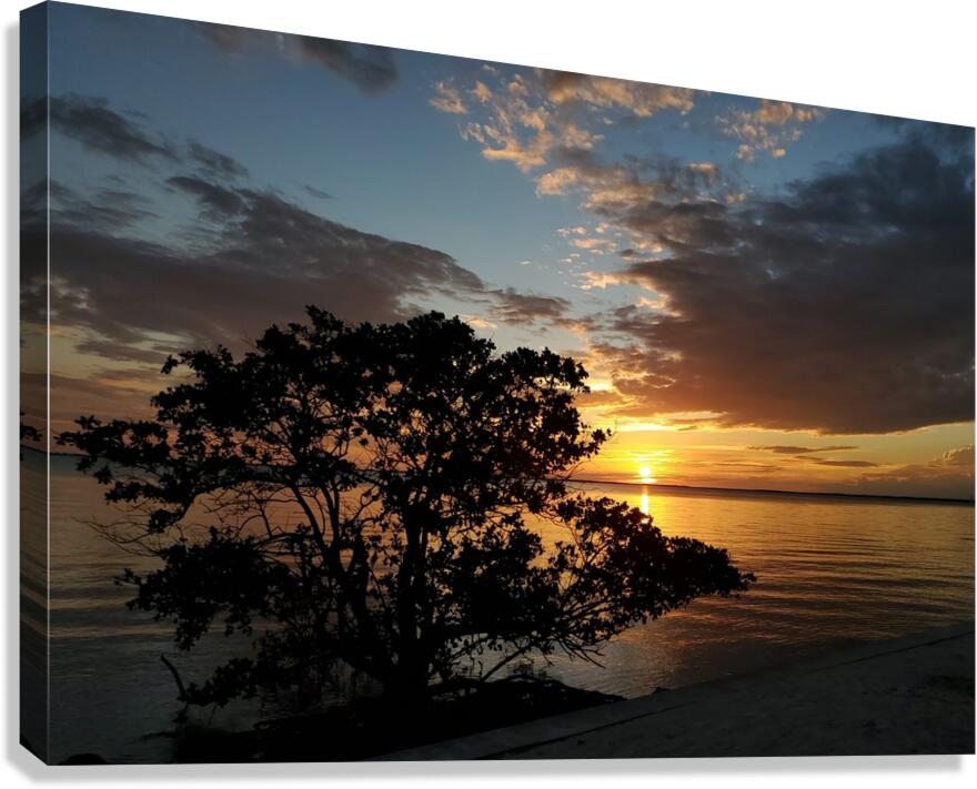 20200613 201916 Canvas Print