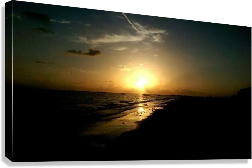 10353194 10152553476761764 6690164207072507782 n Canvas Print