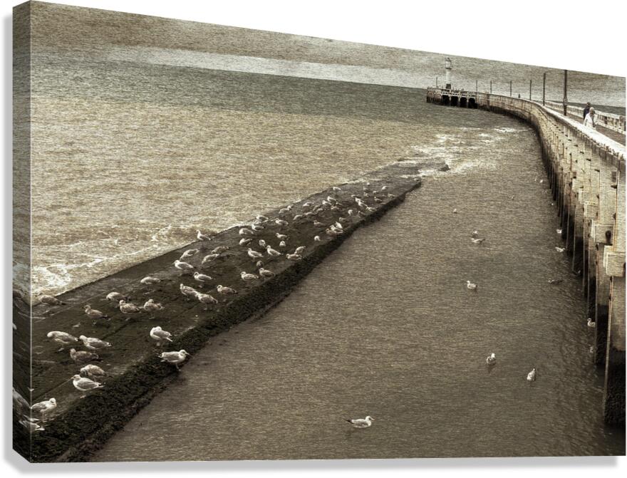 Into the distance Canvas Print