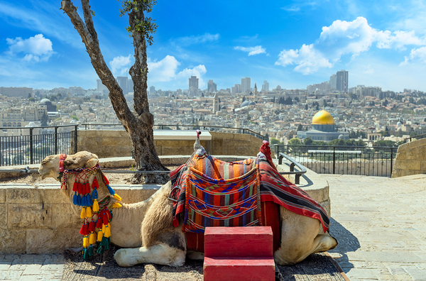 Jerusalem Islamic shrine Dome of the Rock located in the Old City on Temple Mount Digital Download