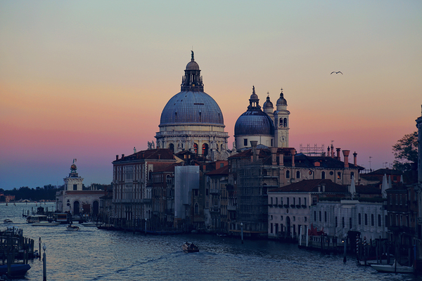 Santa Maria della Salute Cathedral   view from Academia bridge by Elijah Lovkoff
