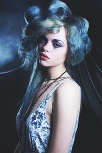 Ragdoll