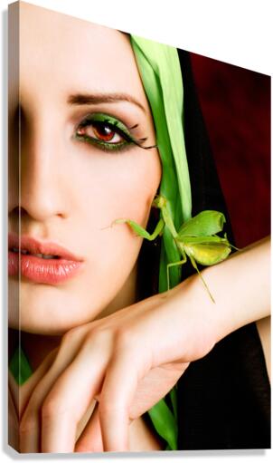 Mantis Canvas Print