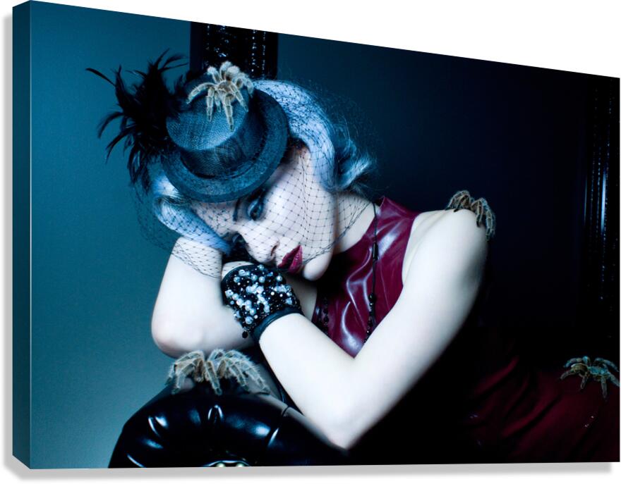 Arachnea Canvas Print