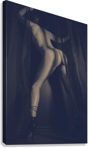 Bliss Canvas Print