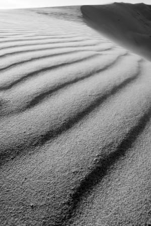 Dune