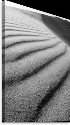 Dune Canvas Print