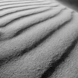 Dune