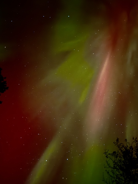 Celestial Dance of Red and Green Aurora by Lisa Drew