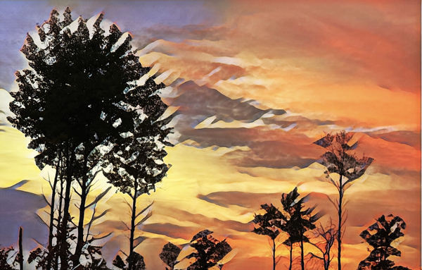 St Croix Serengeti by Lisa Drew
