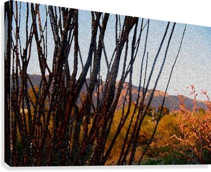 painted desert Canvas Print