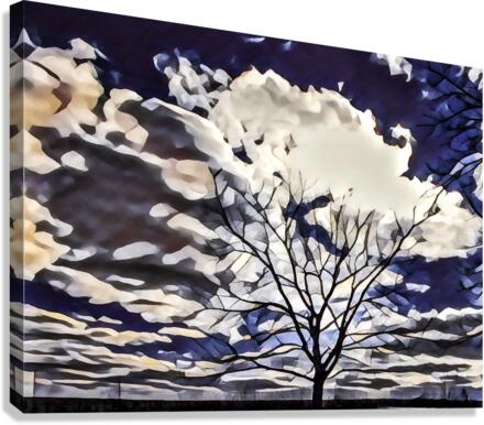 regal tree Canvas Print