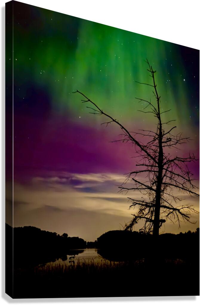 Celestial Solitude Canvas Print