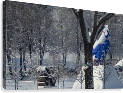 Love Rooster Canvas Print