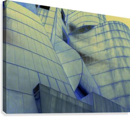Geometry Canvas Print