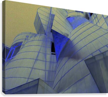 Night Vision Canvas Print