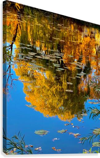 autumn reflection Canvas Print