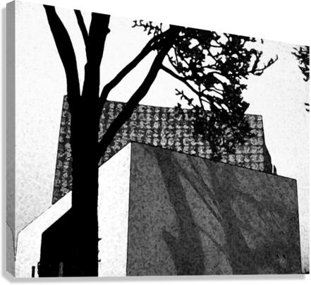 Shadowplay Canvas Print