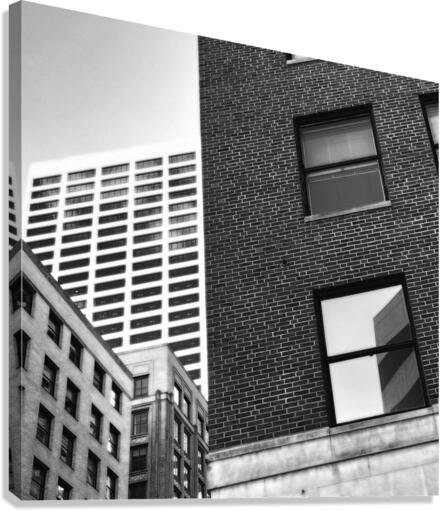 Looking Glass Canvas Print