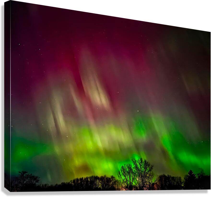 Aurora Nights Canvas Print