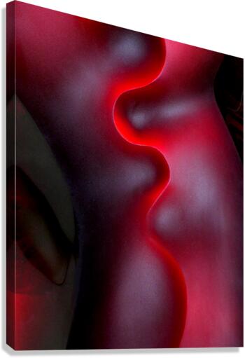 Desire Canvas Print