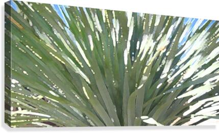 fandango Canvas Print