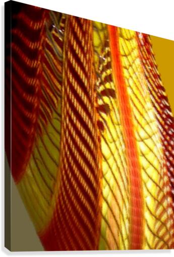 Dragon Wing Canvas Print