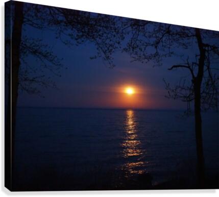 moon glow Canvas Print