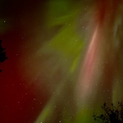 Celestial Dance of Red and Green Aurora