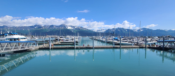 Alaska Dock 1 by W Westerholm