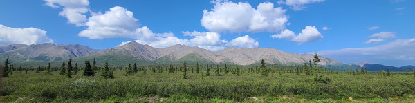 Alaskan Mountains 1 by W Westerholm