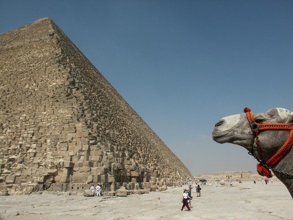 Pyramid w Camel by W Westerholm