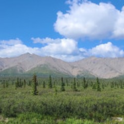 Alaskan Mountains 1