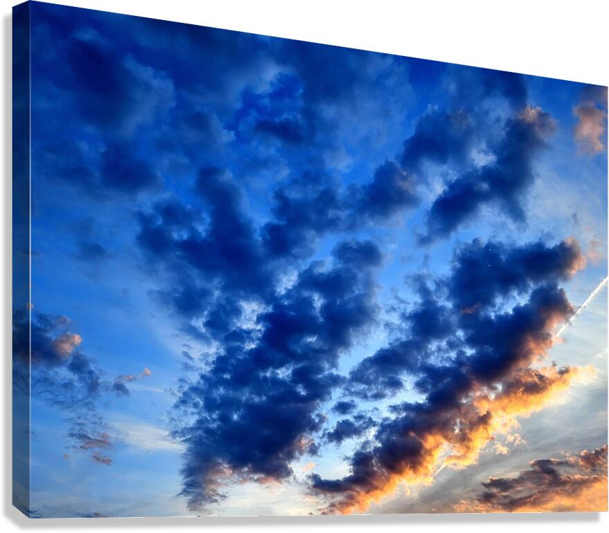 Emergence  Canvas Print