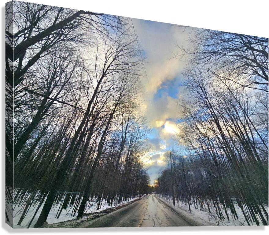Un chemin Canvas Print
