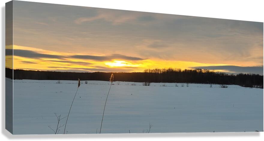 Soleil levant   Canvas Print