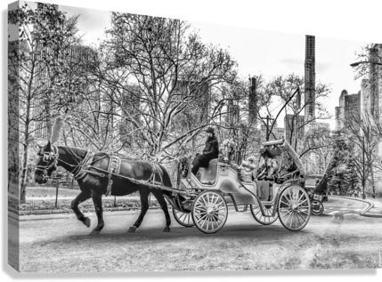 La Caleche  Canvas Print