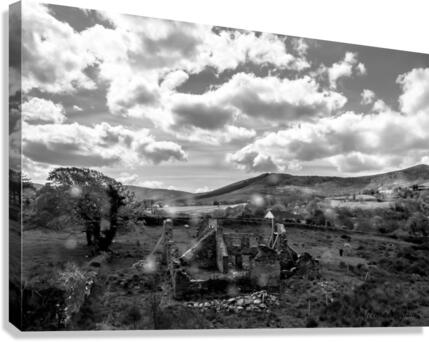 Vestige Canvas Print