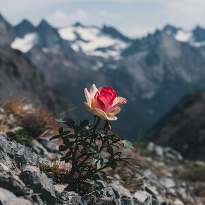 nestled amidst a rugged mountain landscape a soli