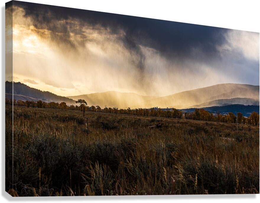 A76A3833 Canvas Print