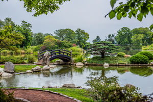 A Pond Located in a Scenic Zen Garden