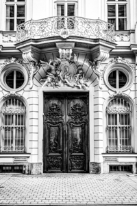 Ancient Wooden Door   Black and White
