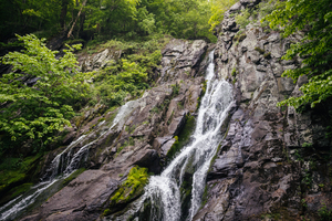 Cascading Falls