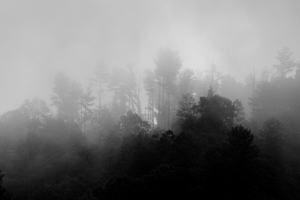 Foggy Smoky Mountains 