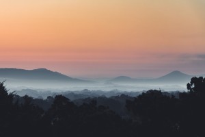 Foggy Sunrise
