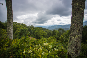 Frame within a Frame view at Webb Overlook