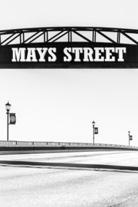 Black and White Bridge